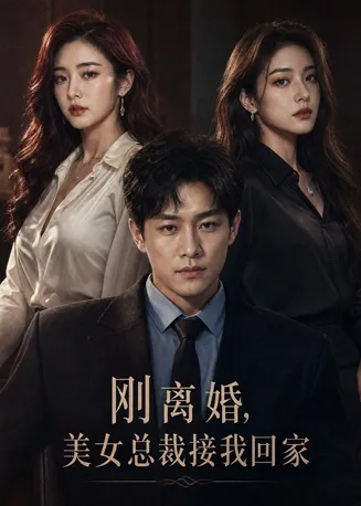 刚离婚，美女总裁接我回家在线观看