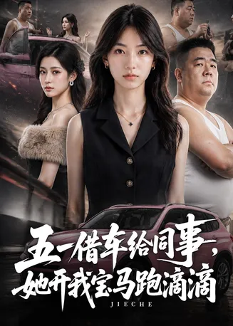 五一借车给同事，她开我宝马跑滴滴在线观看