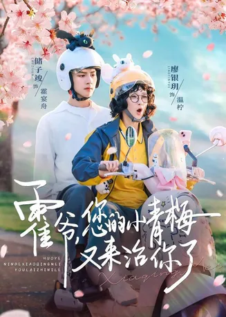 霍爷,您的小青梅又来治你了在线观看