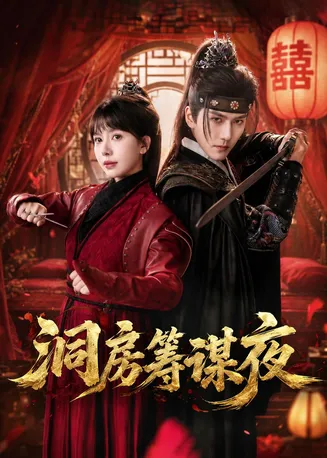 洞房筹谋夜在线观看