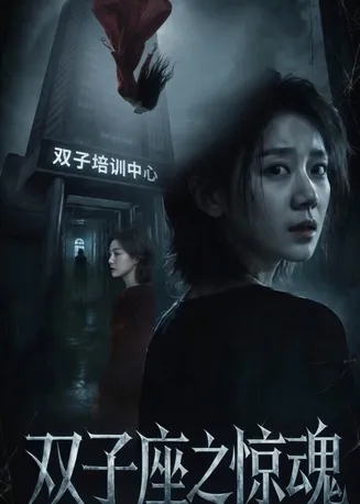 双子座之惊魂在线观看