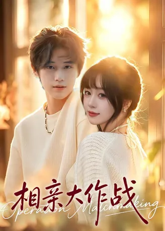 相亲大作战在线观看