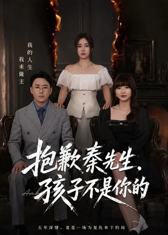 抱歉秦先生，孩子不是你的在线观看