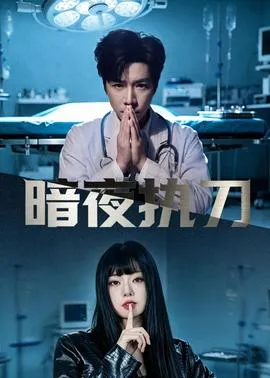 暗夜执刀在线观看