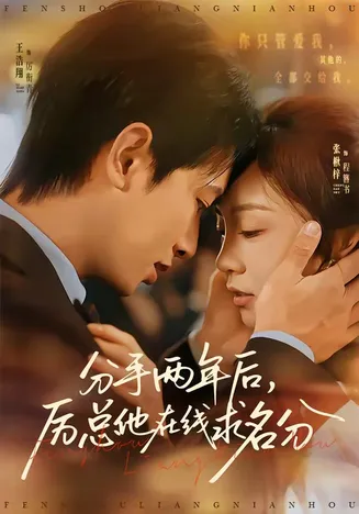 分手两年后，厉总他在线求名分在线观看