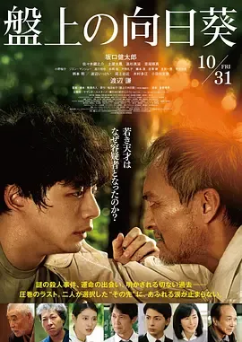 棋盘上的向日葵电影版在线观看