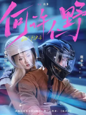 何许仁野在线观看