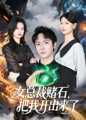 女总裁赌石，把我开出来了在线观看