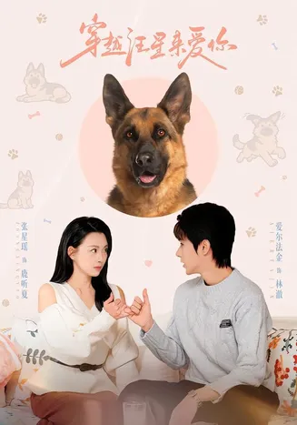 穿越汪星来爱你在线观看