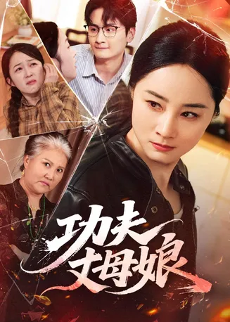 功夫丈母娘在线观看