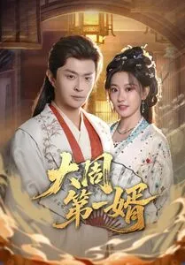 大周第一婿在线观看
