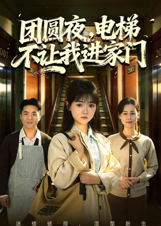 团圆夜,电梯不让我进家门在线观看