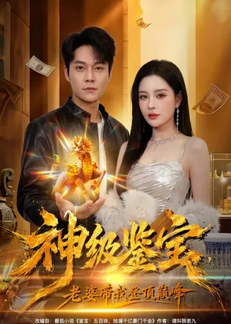 神级鉴宝,老婆带我登顶巅峰在线观看