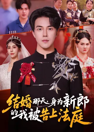 结婚那天,身为新郎的我被告上法庭在线观看
