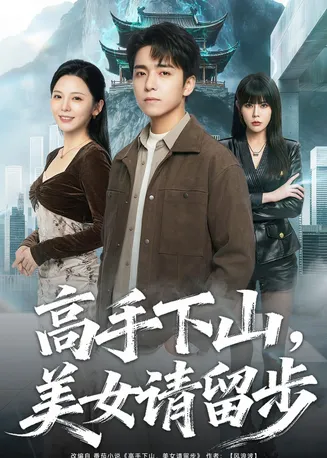 高手下山,美女请留步在线观看