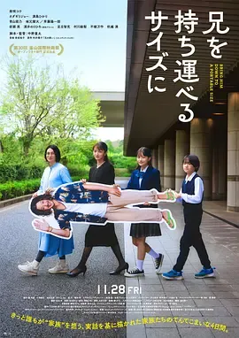 把哥哥带走在线观看