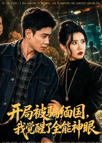 开局被骗缅国，我觉醒了全能神眼在线观看