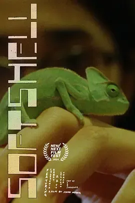 软壳在线观看