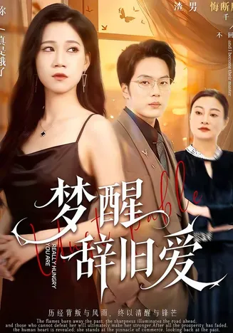 梦醒辞旧爱在线观看