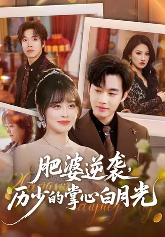 肥婆逆袭，历少的掌心白月光在线观看