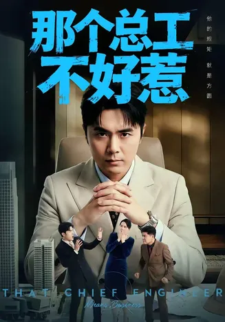 那个总工不好惹在线观看
