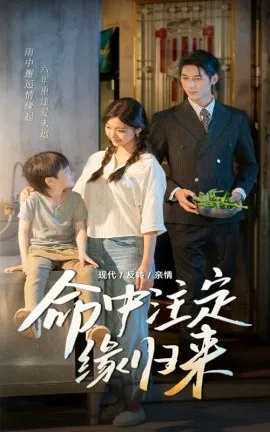 命中注定缘归来在线观看