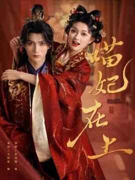 喵妃在上在线观看