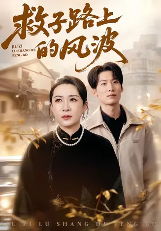 救子路上的风波在线观看
