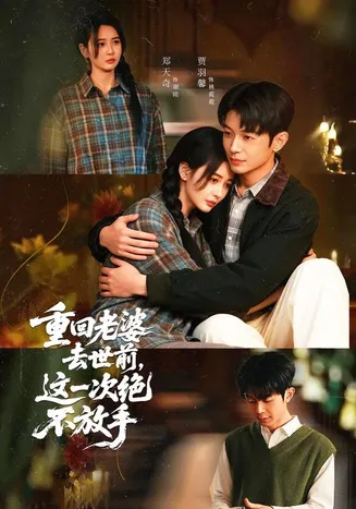 重回老婆去世前,这一次绝不放手在线观看