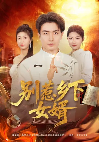 别惹乡下女婿在线观看