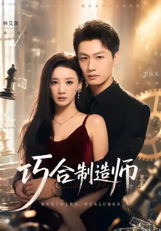 巧合制造师在线观看