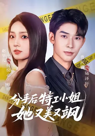分手后特工小姐她又美又飒在线观看