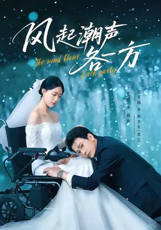 风起潮声各一方在线观看