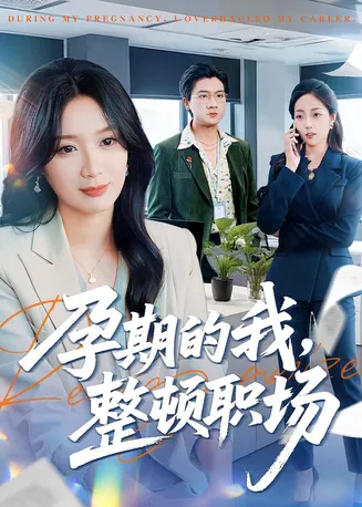 孕期的我整顿职场在线观看