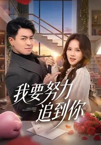我要努力追到你在线观看