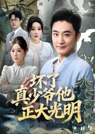 坏了真少爷他正大光明在线观看