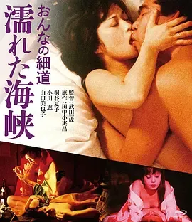 女人的小道：濡湿海峡[电影解说]在线观看