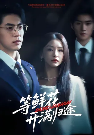 等鲜花开满归途在线观看