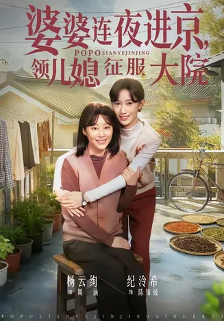 婆婆连夜进京,领儿媳征服大院在线观看