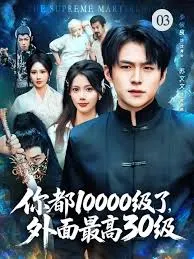 你都10000级了，外面最高30级在线观看