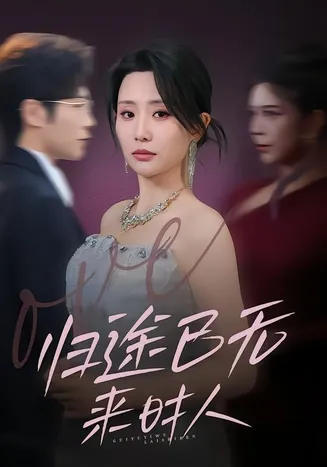归途已无来时人在线观看