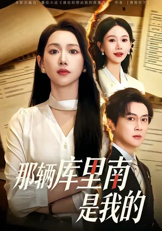 那辆库里南是我的在线观看