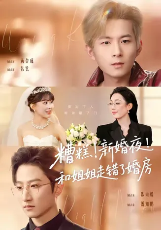 糟糕！新婚夜！和姐姐走错了婚房在线观看