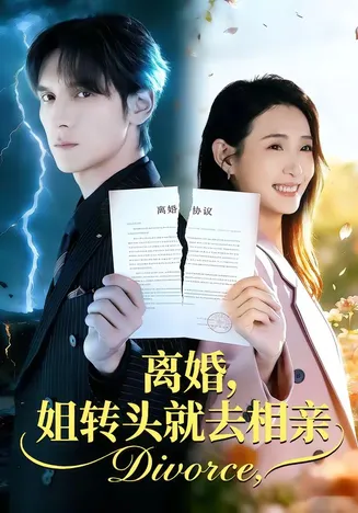 离婚,姐转头就去相亲在线观看