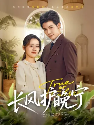 长风护晚宁在线观看