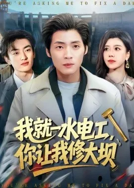 我就一水电工，你让我修大坝在线观看
