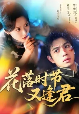 花落时节又逢君在线观看