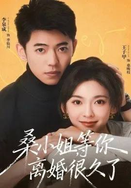 桑小姐，等你离婚很久了在线观看