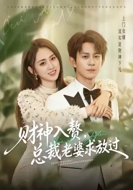 财神入赘，总裁老婆求放过在线观看
