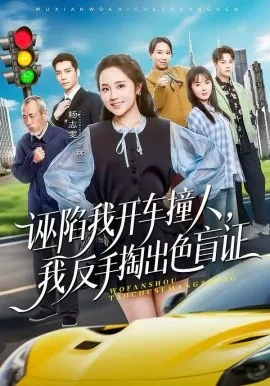 诬陷我开车撞人，我反手掏出色盲证在线观看